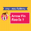 Arrow Fin คืออะไร ?